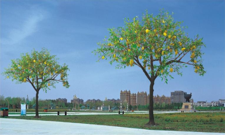 景观树灯 景观树灯