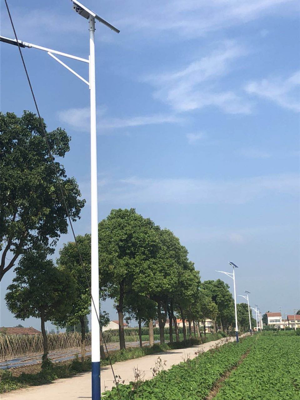 农村太阳能路灯 农村太阳能路灯