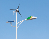 风光互补太阳能路灯的市场地位不可小觑